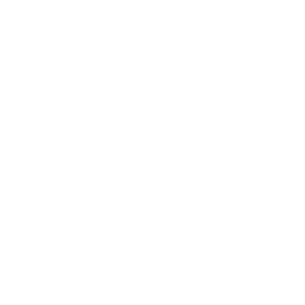 Magnus Consulting Group Inc.